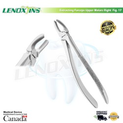 Extracting Forceps Fig.17 Upper Molars Right