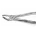  Extracting Forceps Fig.21 Lower Molars
