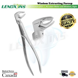 Extracting Forceps Routurier (# 22 1/2 R) Lower Molars and wisdoms, right