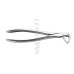 Extracting Forceps Fig. 74 Lower Roots