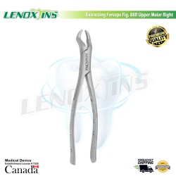 Extracting Forceps Fig. 88R Upper Molar Right