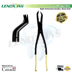 Extracting Forceps Fig. 88R Upper Molar Right- BLACK-GOLD