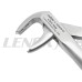 Extracting Forceps Fig. 106  Lower Incisors