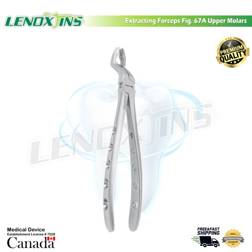 Extracting Forceps Fig. 67A Upper Molars 